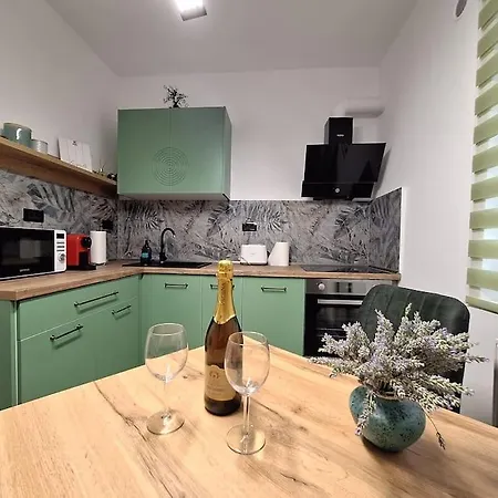 Neptun Free Private Parking טימישוארה