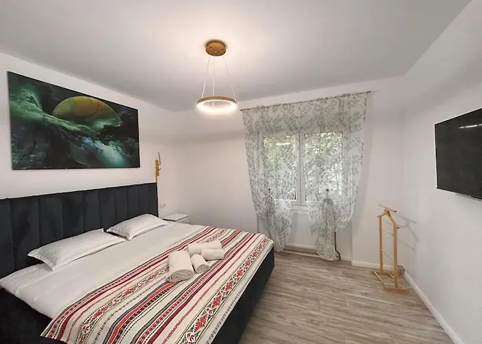 Apartment Neptun Free Private Parking Timişoara